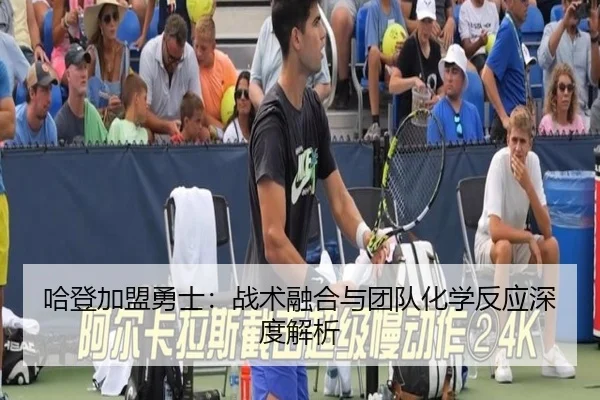 ha-deng-jia-meng-yong-shi-zhan-shu-rong-he-yu-tuan-dui-hua-xue-fan-ying-shen-du-jie-xi-2-506.jpg